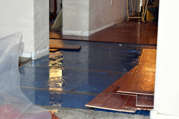 Professional Burst Pipe Cleanup technician working in Saint James, NY